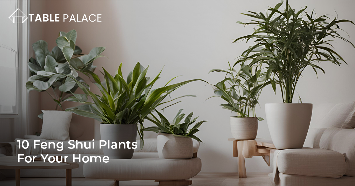 Feature-image-10-Feng-Shui-Plants-For-Your-Home